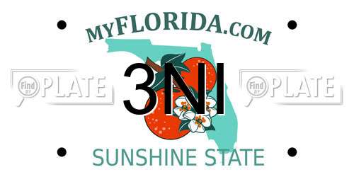 3NI Florida License Plate