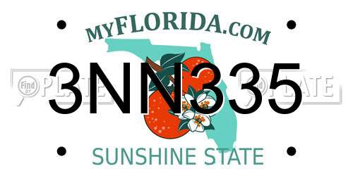 3NN335 Florida License Plate