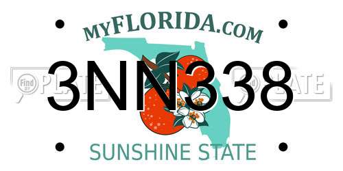 3NN338 Florida License Plate