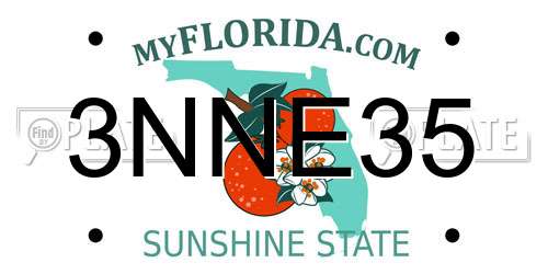 3NNE35 Florida License Plate