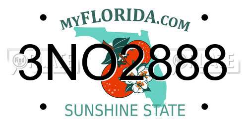 3NO2888 Florida License Plate