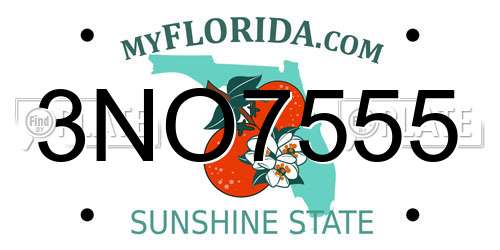 3NO7555 Florida License Plate