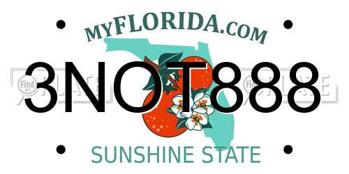 3NOT888 Florida License Plate
