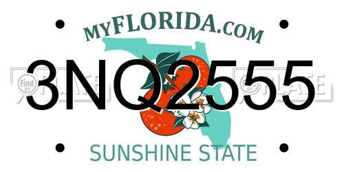 3NQ2555 Florida License Plate