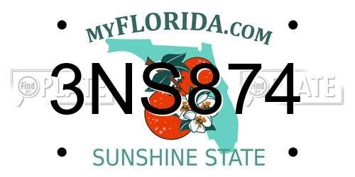 3NS874 Florida License Plate