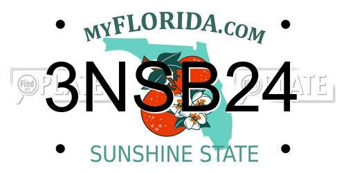 3NSB24 Florida License Plate