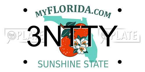 3NTTY Florida License Plate