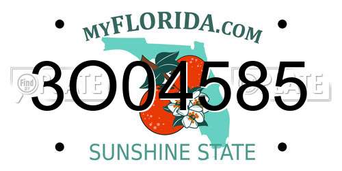 3O04585 Florida License Plate