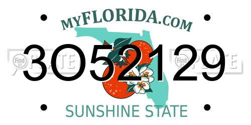 3O52129 Florida License Plate
