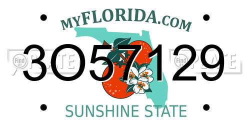 3O57129 Florida License Plate