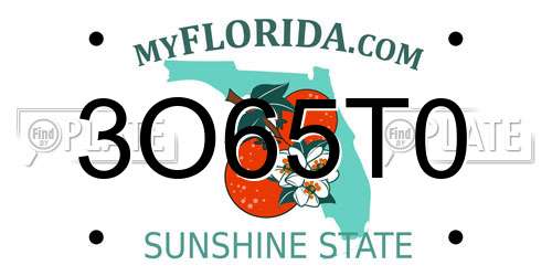 3O65T0 Florida License Plate