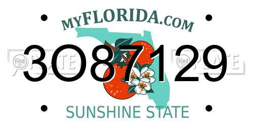 3O87129 Florida License Plate