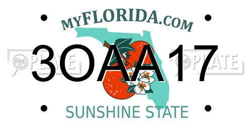 3OAA17 Florida License Plate