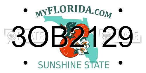 3OB2129 Florida License Plate
