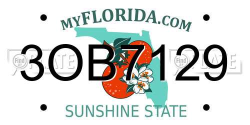 3OB7129 Florida License Plate