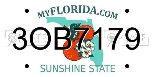 3OB7179 Florida License Plate
