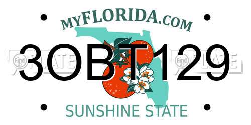 3OBT129 Florida License Plate