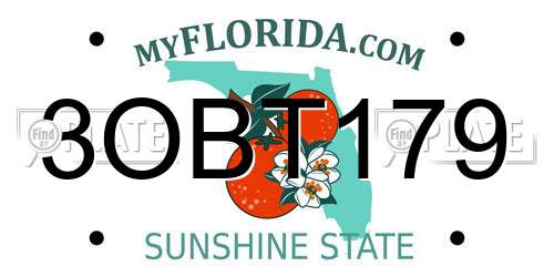 3OBT179 Florida License Plate