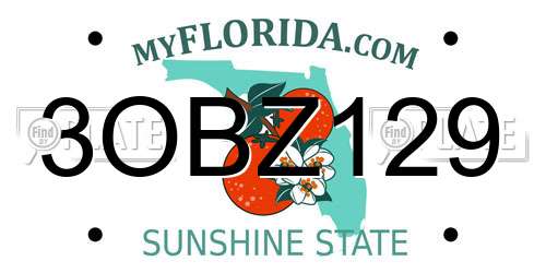 3OBZ129 Florida License Plate