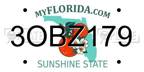 3OBZ179 Florida License Plate