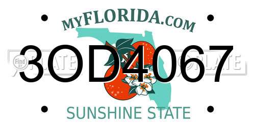 3OD4067 Florida License Plate