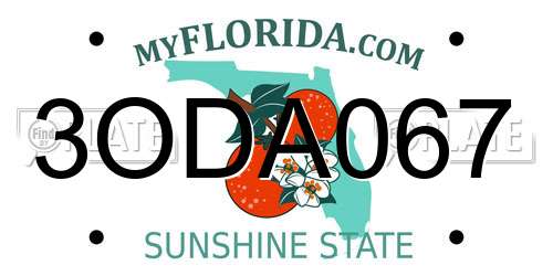 3ODA067 Florida License Plate