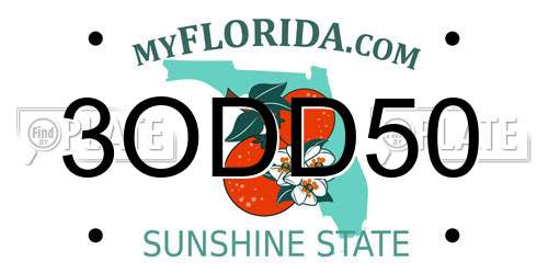 3ODD50 Florida License Plate