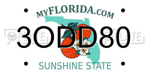 3ODD80 Florida License Plate