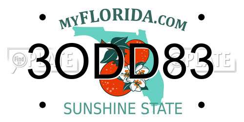 3ODD83 Florida License Plate