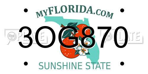 3OG870 Florida License Plate