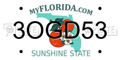 3OGD53 Florida License Plate