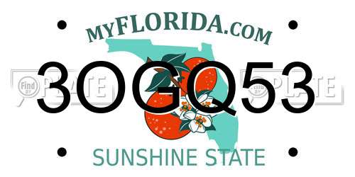 3OGQ53 Florida License Plate