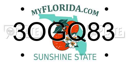 3OGQ83 Florida License Plate