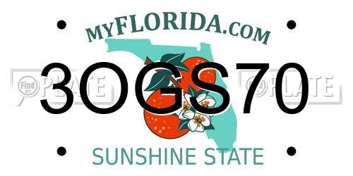 3OGS70 Florida License Plate