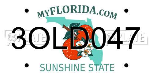 3OLD047 Florida License Plate