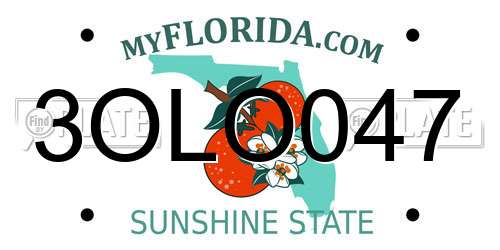 3OLO047 Florida License Plate