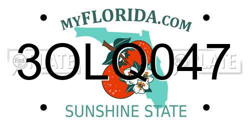 3OLQ047 Florida License Plate