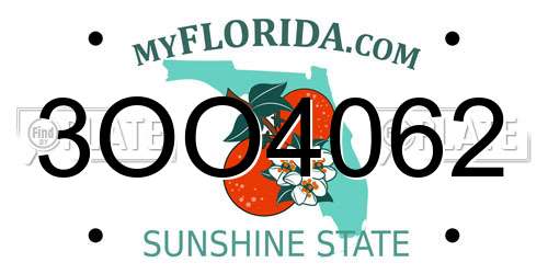 3OO4062 Florida License Plate