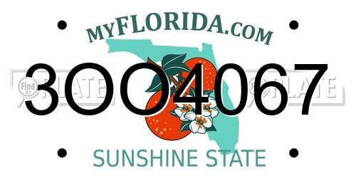 3OO4067 Florida License Plate