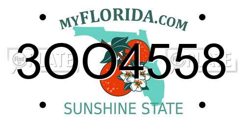 3OO4558 Florida License Plate