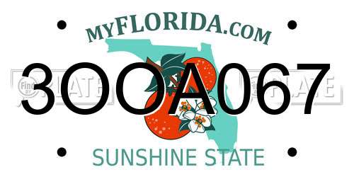 3OOA067 Florida License Plate