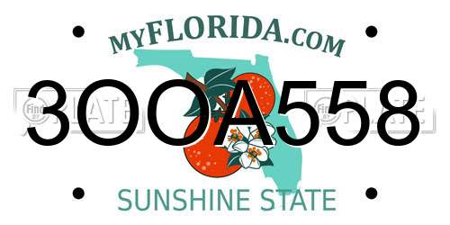 3OOA558 Florida License Plate