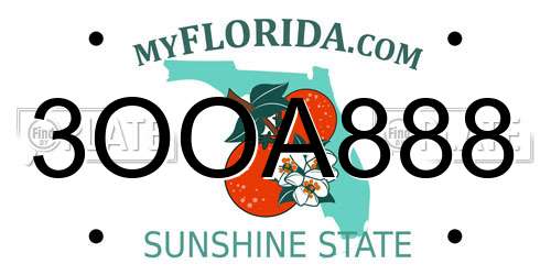 3OOA888 Florida License Plate