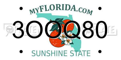 3OOQ80 Florida License Plate