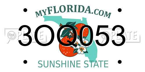 3OQ053 Florida License Plate