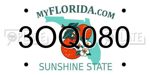3OQ080 Florida License Plate