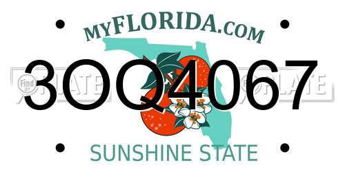 3OQ4067 Florida License Plate