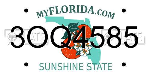 3OQ4585 Florida License Plate