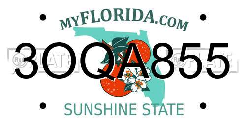 3OQA855 Florida License Plate