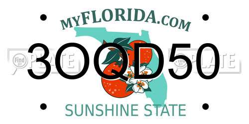 3OQD50 Florida License Plate